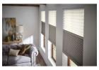 Control Light & Privacy with Motorized Roller Shades