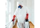 1 & 2 BHK Pest Control Near Me – 3-Month Protection Plan