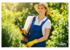 Got Pests? Call Carrollton’s Top Pest Control Experts Today!