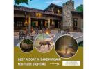 Best Resort in Bandhavgarh for Tiger Sighting