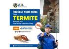 Termite Control Services in Hyderabad