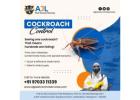 Cockroach Control Services in Hyderabad