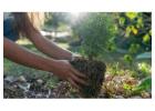 Leaf removal service in williamsburg va