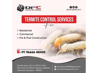Best Termite Control Services in Hyderabad