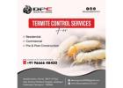Best Termite Control Services in Hyderabad