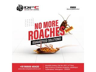 Best Cockroach Control Services in Hyderabad