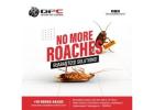 Best Cockroach Control Services in Hyderabad