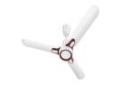 Stay Cool in Style with Hindware Snowcrest Decorative Fans