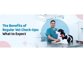 Vet Near Me  | CGS Hospital