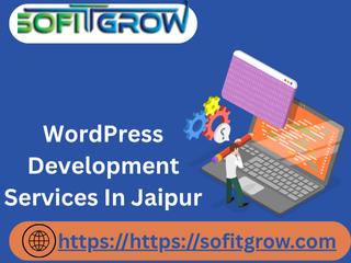 Professional WordPress Development Services in Jaipur – Build Your Dream Website Today!