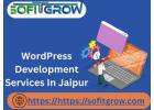 Professional WordPress Development Services in Jaipur – Build Your Dream Website Today
