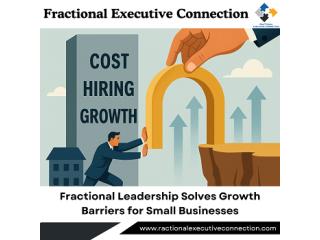 Fractional executive strengthens small business growth