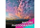 Relaxing Nature Sound Effects for Calm & Realistic Audio Clip