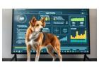 AI-Powered Pet Care | Innovative Pet Care - Pets N More