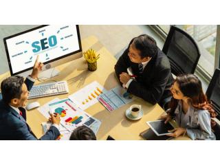 Best SEO Service Provider in Delhi – Professional SEO Services for Maximum Results