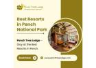 Best Resorts in Pench National Park for a Luxurious Jungle Stay