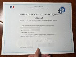 WhatsApp: +31 6 87546855  Buy DALF, DELF B2, A2 Certificate Without Exam