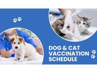 Dog Vaccination Schedule  | CGS Hospital