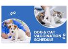 Dog Vaccination Schedule  | CGS Hospital 