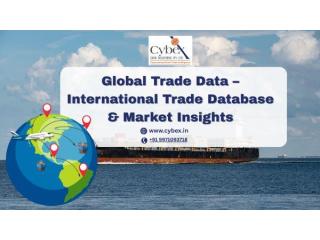 Global Trade Data – International Trade Database & Market Insights