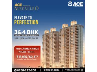 Ace Medalleo – Where Luxury Finds its Address