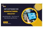 ERP Software for Manufacturing Industry at Elite Mindz