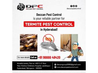 Termite Pest Control Service
