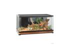  Exo Terra Vista 120XL – Premium Glass Aquarium for Reptiles & Amphibians