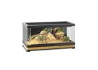 Exo Terra Vista 90 – Premium Reptile Enclosure for Healthy Habitat Setup