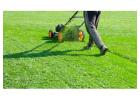 Professional hedge and shrub trimming services in Suffolk, VA