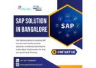 SAP Solution in Bangalore | Ariba Partners in Bangalore