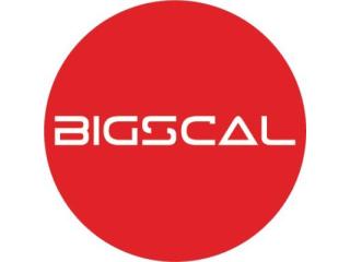 Bigscal The Ultimate Software Development Company