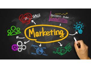 Learn Digital Marketing from Experts – Join the Best Digital Marketing Course Today!