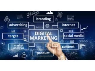 All Digital Ideas – Leading SEO Company in Kolkata Driving Measurable Online Growth