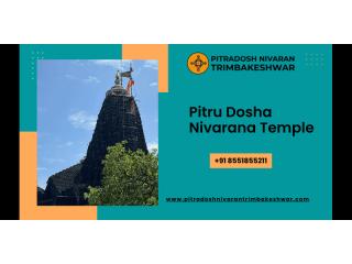 Pitru Dosha Nivarana Temple | Pitra Dosh Nivaran Puja Online