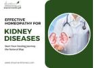 Gentle Homeopathic Care for Kidney Disorders in Malad West