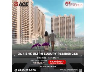 Ace Medalleo – Where Comfort Meets Class