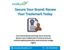 Trademark Renewal: Protect Your Brand, Secure Your Future