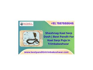 Sheshnag Kaal Sarp Dosh | Best Pandit For Kaal Sarp Puja In Trimbakeshwar