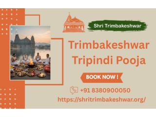 Shri Trimbakeshwar | Tripindi Shradha And Rahu Ketu Pooja