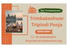 Shri Trimbakeshwar | Tripindi Shradha And Rahu Ketu Pooja