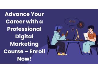 Advance Your Career with a Professional Digital Marketing Course – Enroll Now!