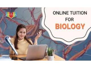 Online Biology Tuition for Class 12 – Learn Smarter, Score Higher with Experts
