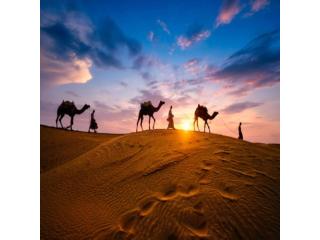 Rajasthan Vacation Packages – Book Heritage & Desert Tours