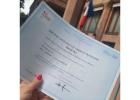 WhatsApp: +31 6 87546855  Registered DELF certificate in France without exam  