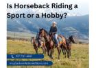 Is Horseback Riding a Sport or a Hobby?