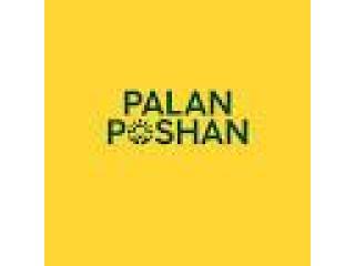 Buy Gir Cow Ghee Online in India | 100% Pure & Organic – Palan Poshan