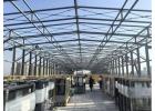 Steel Structural Frame/Building/Embedded Parts