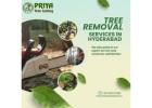 Tree Removal Services in Hyderabad | Priya Tree Cutting Services