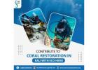 Contribute to Coral Restoration in Bali with Eco Hero